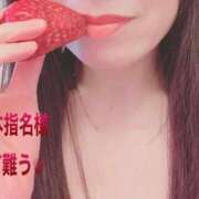 ヒメ日記 2026/02/17 11:13 投稿 杏里(あんり) PLUS梅田店