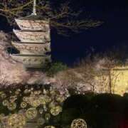 ヒメ日記 2026/02/18 12:48 投稿 杏里(あんり) PLUS梅田店