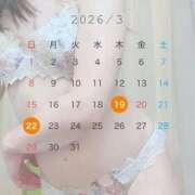 ヒメ日記 2026/03/17 11:12 投稿 杏里(あんり) PLUS梅田店