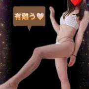 ヒメ日記 2026/07/29 11:42 投稿 杏里(あんり) PLUS梅田店