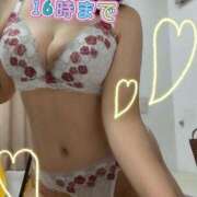 ヒメ日記 2025/06/17 09:14 投稿 すず カワサキ EROTIC