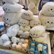 ヒメ日記 2025/06/29 15:45 投稿 すず カワサキ EROTIC