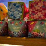 ヒメ日記 2025/06/29 18:18 投稿 すず カワサキ EROTIC