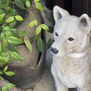 ヒメ日記 2025/06/30 23:41 投稿 すず カワサキ EROTIC