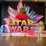 ヒメ日記 2025/07/30 12:05 投稿 すず カワサキ EROTIC