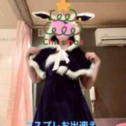 ヒメ日記 2025/11/28 13:19 投稿 すず カワサキ EROTIC