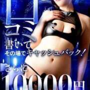 ヒメ日記 2026/01/30 04:45 投稿 すず カワサキ EROTIC