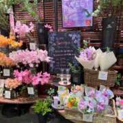 ヒメ日記 2026/01/31 20:45 投稿 すず カワサキ EROTIC