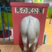 ヒメ日記 2026/07/31 15:31 投稿 すず カワサキ EROTIC