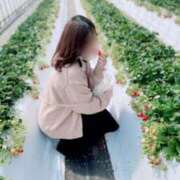 ヒメ日記 2026/02/17 17:57 投稿 結束ゆい【スタンダード】 五感☆秘密倶楽部