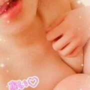 ヒメ日記 2025/04/01 11:18 投稿 姫宮あい【スタンダード】 五感☆秘密倶楽部