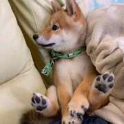 ヒメ日記 2025/04/29 15:49 投稿 姫宮あい【スタンダード】 五感☆秘密倶楽部