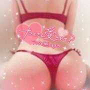 ヒメ日記 2025/03/25 08:57 投稿 谷下しずく【スタンダード】 五感☆秘密倶楽部