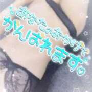 ヒメ日記 2025/03/31 11:34 投稿 谷下しずく【スタンダード】 五感☆秘密倶楽部