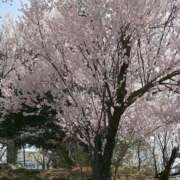 ヒメ日記 2025/04/09 18:06 投稿 ゆう 佐久上田人妻隊