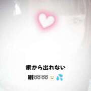 ヒメ日記 2025/12/20 11:34 投稿 ゆう 佐久上田人妻隊