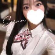 ヒメ日記 2025/03/12 07:01 投稿 小田　せいな スタイリッシュ秘書