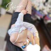 ヒメ日記 2025/03/12 09:49 投稿 小田　せいな スタイリッシュ秘書