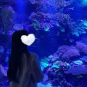 ヒメ日記 2025/05/05 10:34 投稿 小田　せいな スタイリッシュ秘書