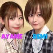 ヒメ日記 2025/03/17 08:58 投稿 椿あやめ セグレターリオ