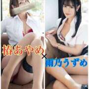 ヒメ日記 2025/05/25 12:36 投稿 椿あやめ セグレターリオ