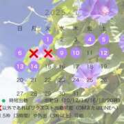 ヒメ日記 2025/06/26 10:39 投稿 椿あやめ セグレターリオ