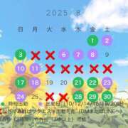 ヒメ日記 2025/07/13 19:06 投稿 椿あやめ セグレターリオ