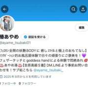 ヒメ日記 2025/09/13 14:48 投稿 椿あやめ セグレターリオ