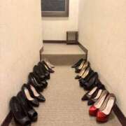 ヒメ日記 2026/03/19 07:08 投稿 椿あやめ セグレターリオ