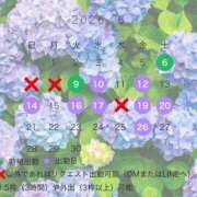 ヒメ日記 2026/06/05 10:01 投稿 椿あやめ セグレターリオ