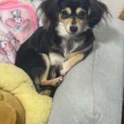 ヒメ日記 2025/05/03 13:18 投稿 しぐれ タレント倶楽部アダルト