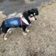 ヒメ日記 2025/05/07 17:08 投稿 しぐれ タレント倶楽部アダルト