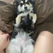 ヒメ日記 2025/06/13 11:12 投稿 しぐれ タレント倶楽部アダルト