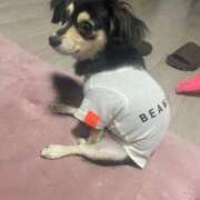 ヒメ日記 2025/06/29 17:30 投稿 しぐれ タレント倶楽部アダルト