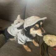 ヒメ日記 2025/06/30 22:42 投稿 しぐれ タレント倶楽部アダルト