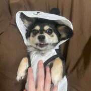 ヒメ日記 2025/07/05 00:22 投稿 しぐれ タレント倶楽部アダルト