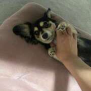 ヒメ日記 2025/07/06 11:56 投稿 しぐれ タレント倶楽部アダルト