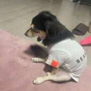 ヒメ日記 2025/07/12 20:56 投稿 しぐれ タレント倶楽部アダルト