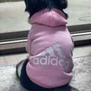 ヒメ日記 2025/07/20 04:04 投稿 しぐれ タレント倶楽部アダルト