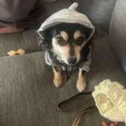 ヒメ日記 2025/08/19 10:52 投稿 しぐれ タレント倶楽部アダルト