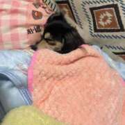 ヒメ日記 2025/09/13 11:30 投稿 しぐれ タレント倶楽部アダルト