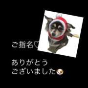 しぐれ 昨日の???? ???. タレント倶楽部アダルト