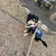 ヒメ日記 2025/12/16 14:46 投稿 しぐれ タレント倶楽部アダルト