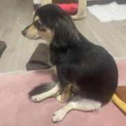 ヒメ日記 2026/01/04 16:28 投稿 しぐれ タレント倶楽部アダルト