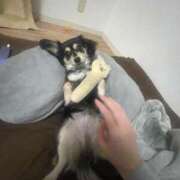 ヒメ日記 2026/01/15 12:20 投稿 しぐれ タレント倶楽部アダルト