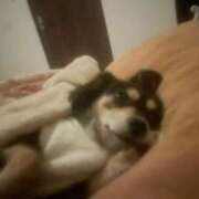 ヒメ日記 2026/02/14 12:30 投稿 しぐれ タレント倶楽部アダルト