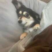 ヒメ日記 2026/03/21 19:50 投稿 しぐれ タレント倶楽部アダルト