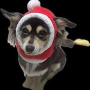 ヒメ日記 2026/03/26 02:14 投稿 しぐれ タレント倶楽部アダルト