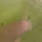 ヒメ日記 2026/03/30 12:26 投稿 しぐれ タレント倶楽部アダルト