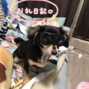 ヒメ日記 2026/05/19 21:10 投稿 しぐれ タレント倶楽部アダルト